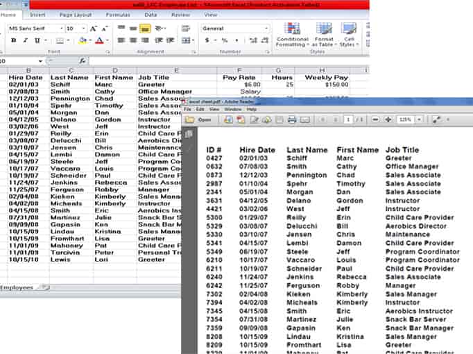 pdf-to-excel-converting