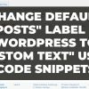 change default posts label in wordpress to custom text using code snippets